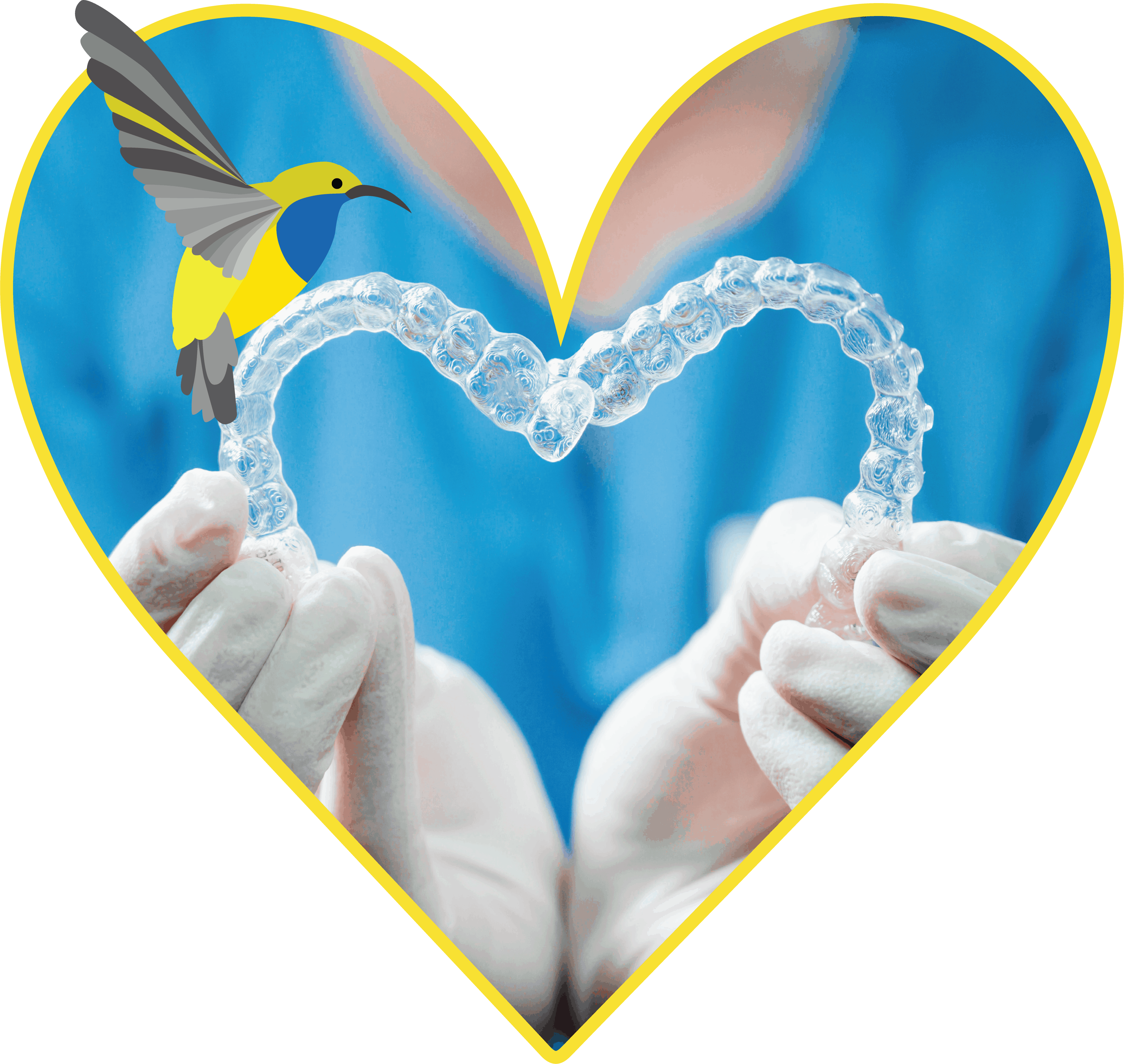 Female doctor holding two transparent heart-shaped dental aligners